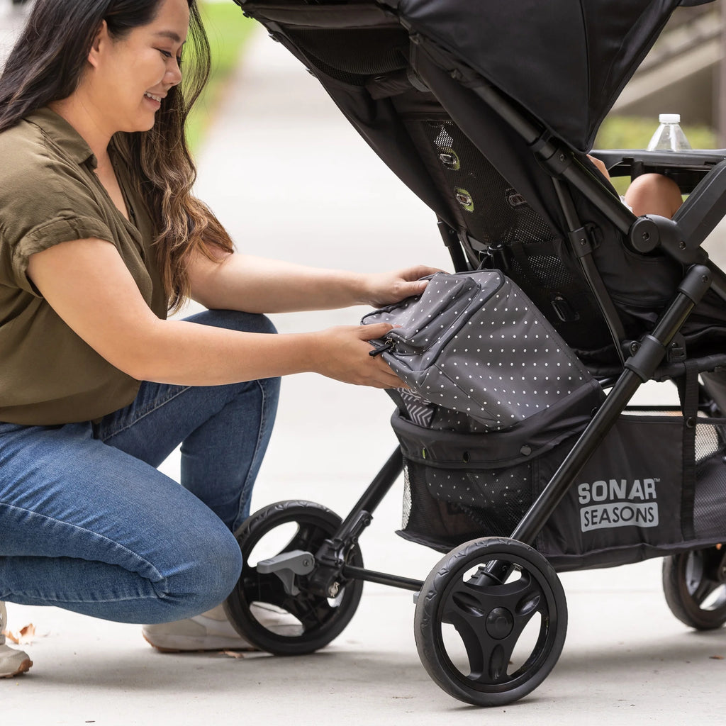 Passport Seasons Travel System (With Ez-Lift™ Infant Car Seat)