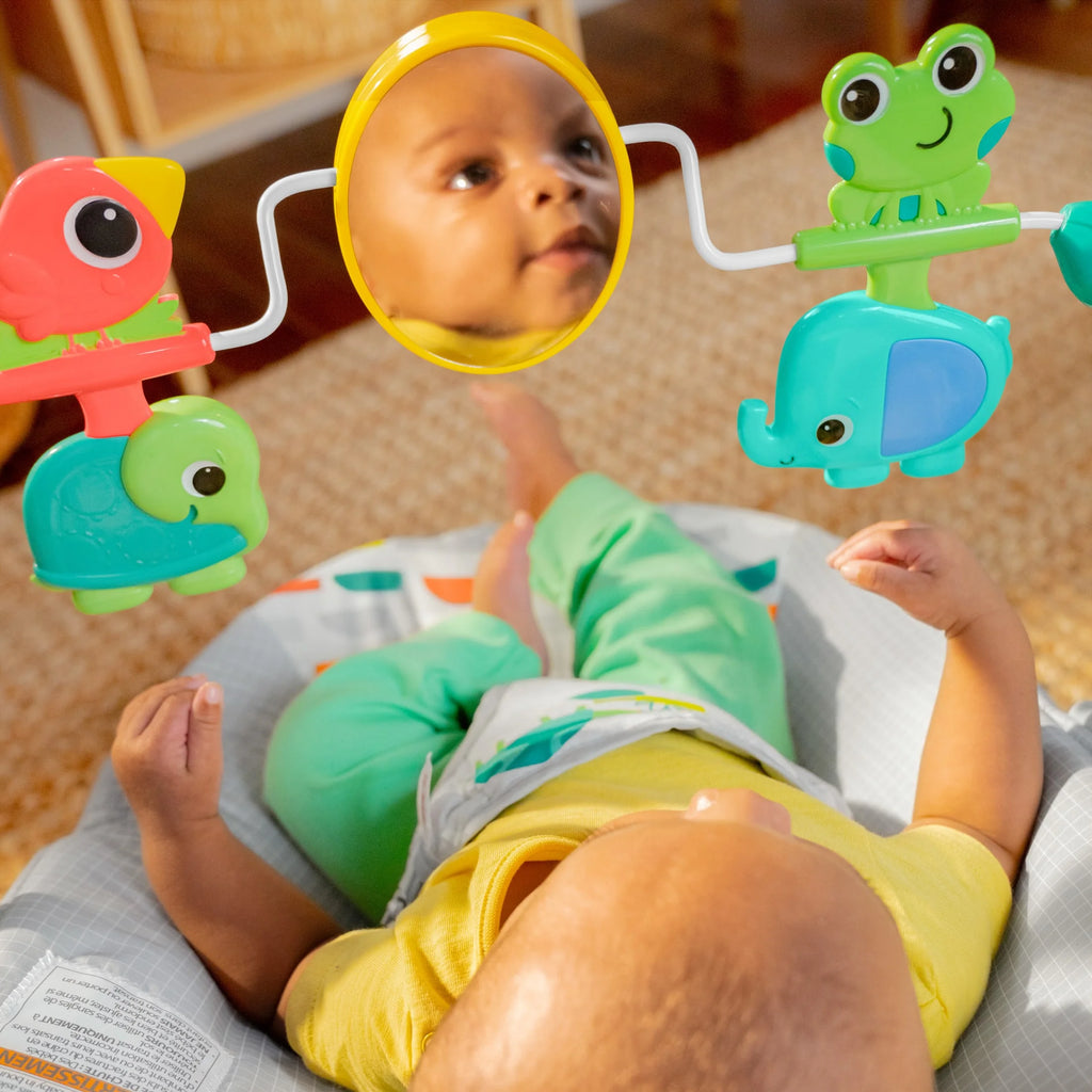 Playful Paradise Vibrating Baby Bouncer, Self Bounce, Unisex, Newborn +