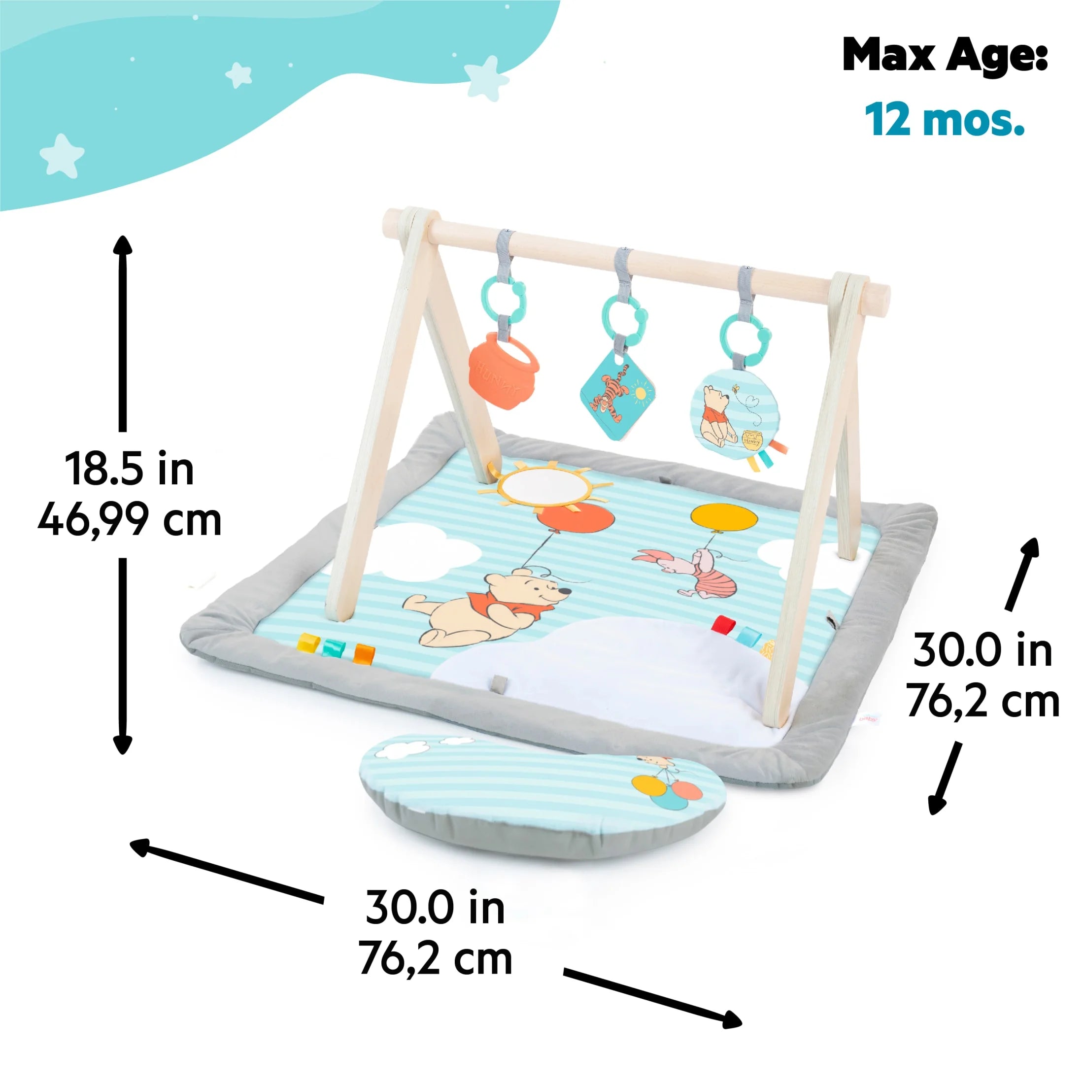 Disney WINNIE the POOH Once upon a Tummy Time Activity Gym, Blue, Newborn