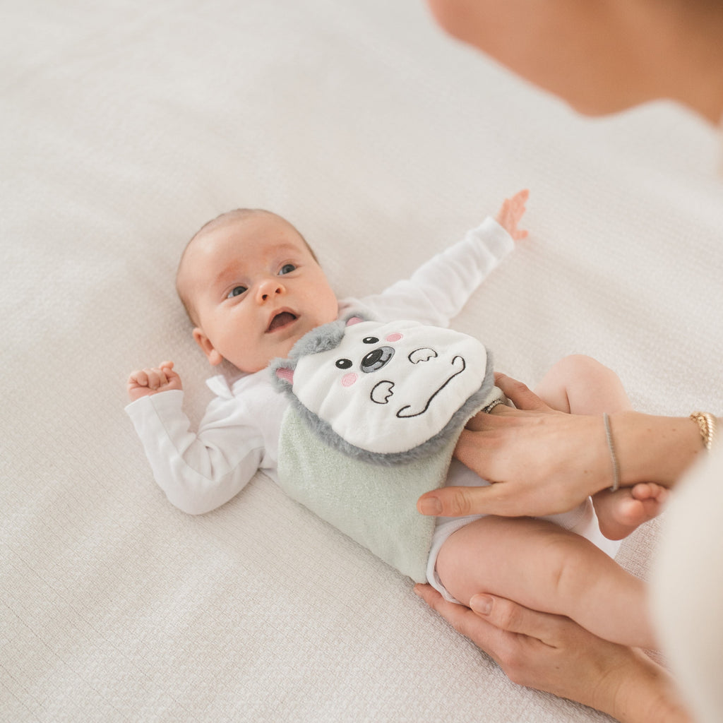 Infant Gripebelt Heated Belly Band, Gentle Warmth / Compression, Hedgehog, 1-Pack