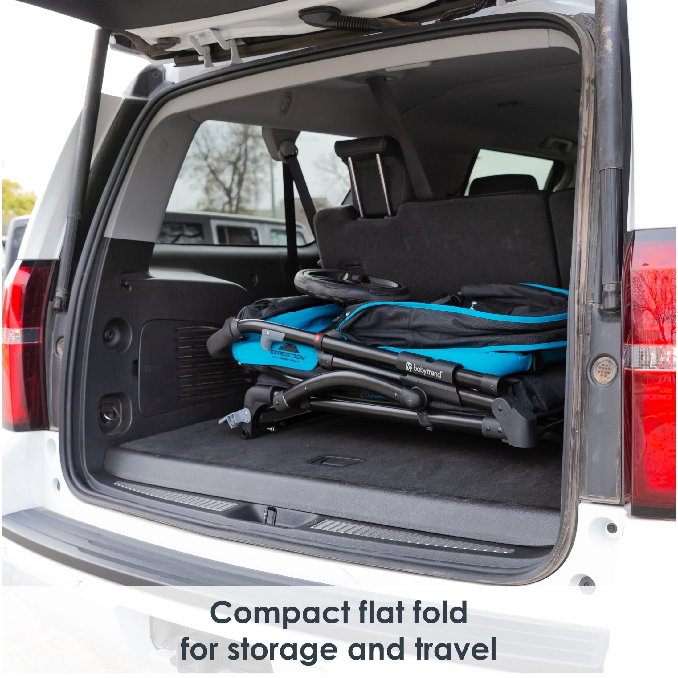 Baby Trend Expedition 2-In-1 Stroller Wagon PLUS