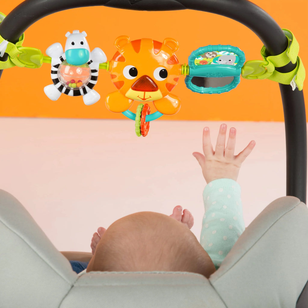Take along Musical Carrier Baby Activity Toy Bar, Ages Newborn +