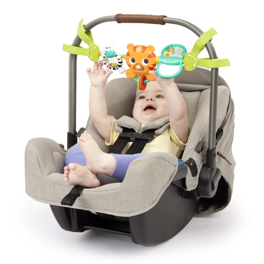 Take along Musical Carrier Baby Activity Toy Bar, Ages Newborn +