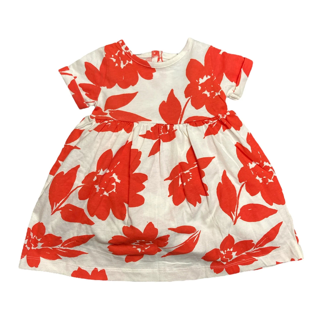 Infant/Toddler Girl'S 2 Piece Dress and Romper Outfit Set (Floral, 6M)