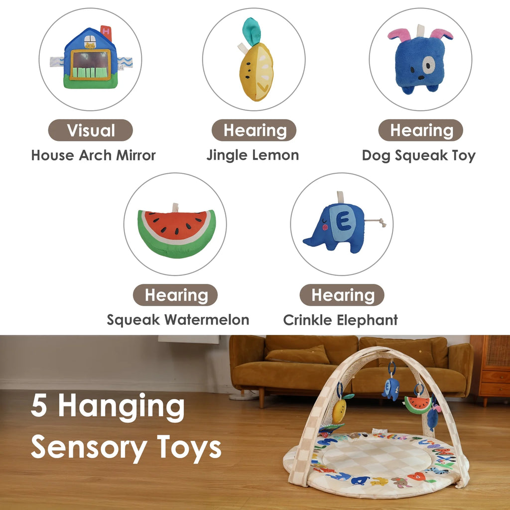 Play Gym, Stage-Based Developmental Activity Gym & Play Mat for Baby to Toddler, 5 Removable Sensory Toys,0+ Months (ABC123)