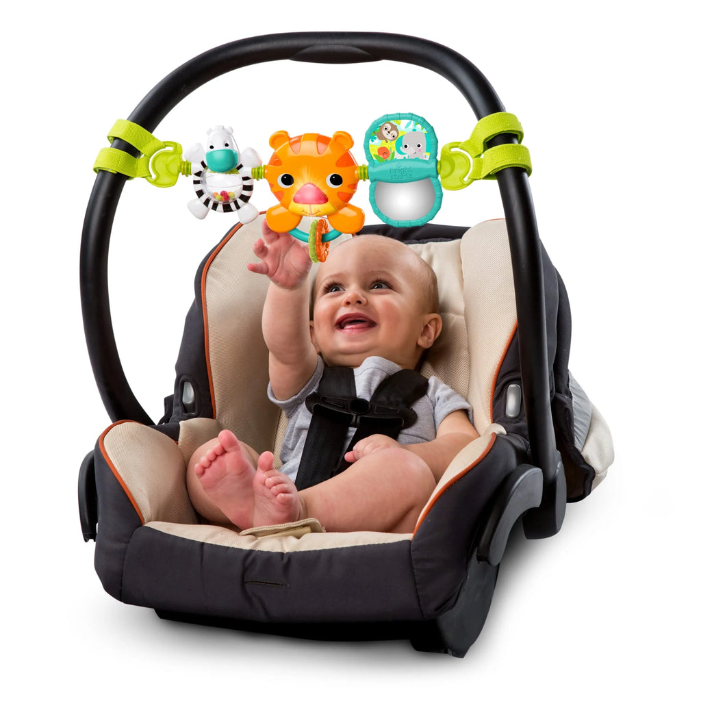 Take along Musical Carrier Baby Activity Toy Bar, Ages Newborn +