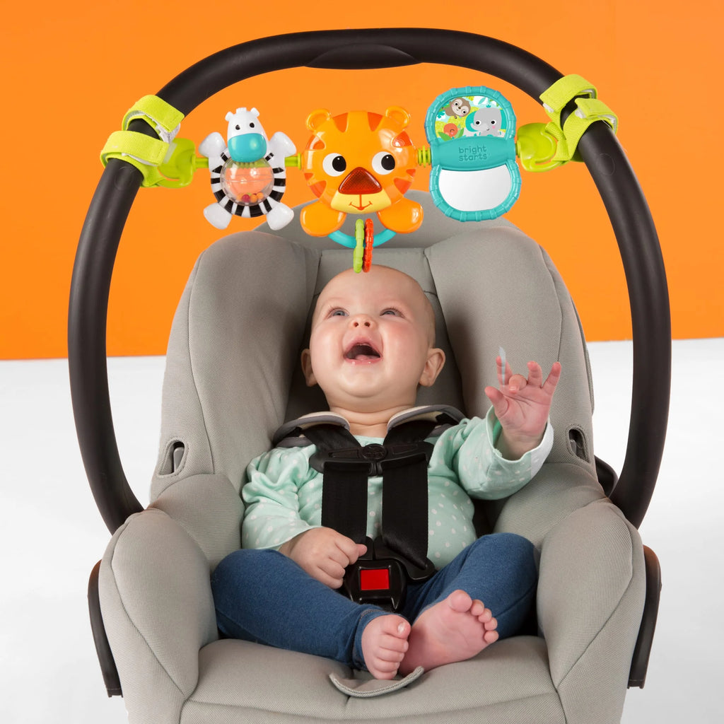Take along Musical Carrier Baby Activity Toy Bar, Ages Newborn +